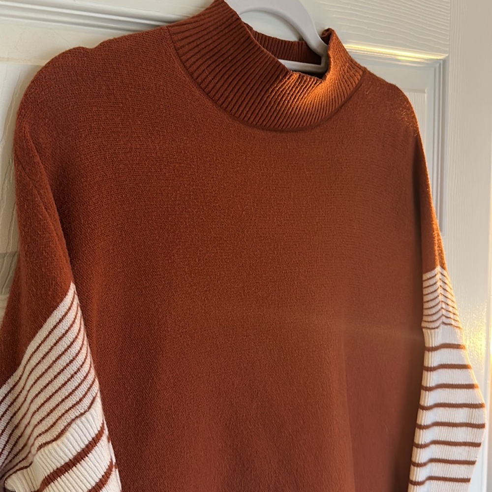 Rust Striped Sweater - Picture 3 of 4